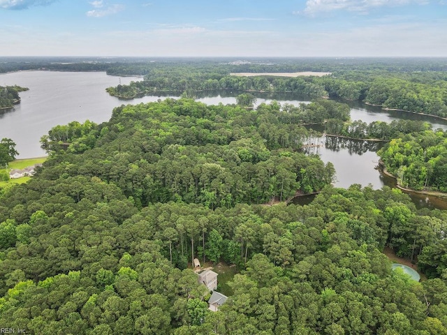 4437 Cherokee Dr, Suffolk, VA 23434 - bird's eye view of a forest and a nearby body of water