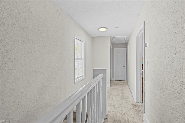 2105 Portlock Rd, Chesapeake, VA 23324 - hall featuring attic access, a textured wall, light carpet, baseboards, and a textured ceiling