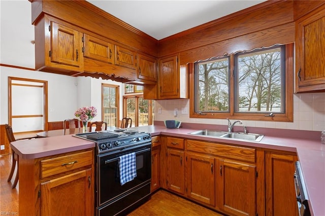 2543 Bridge Rd, Suffolk, VA 23435 - kitchen featuring black stove, a sink, a peninsula, brown cabinets, and light countertops