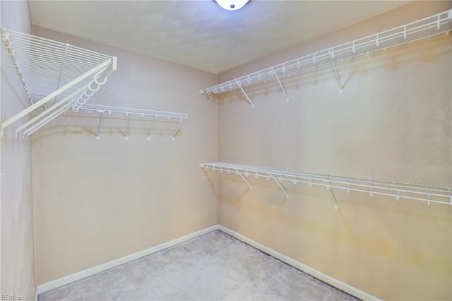 313 Queen Ct, Smithfield, VA 23430 - walk in closet featuring carpet flooring