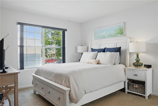 612 Shoreham Ct Unit 202, Virginia Beach, VA 23451 - bedroom with light colored carpet and baseboards