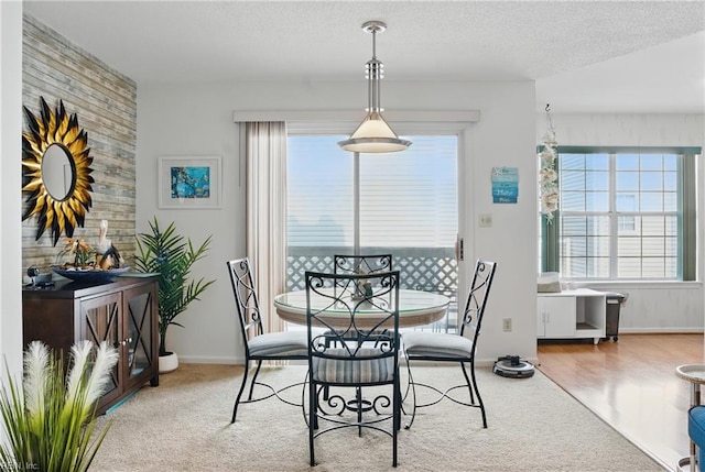 612 Shoreham Ct Unit 202, Virginia Beach, VA 23451 - carpeted dining room featuring plenty of natural light, a textured ceiling, and baseboards