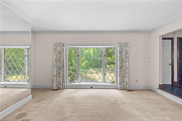 9 Hill Way, Carrollton, VA 23314 - unfurnished room featuring plenty of natural light, carpet floors, ornamental molding, and baseboards
