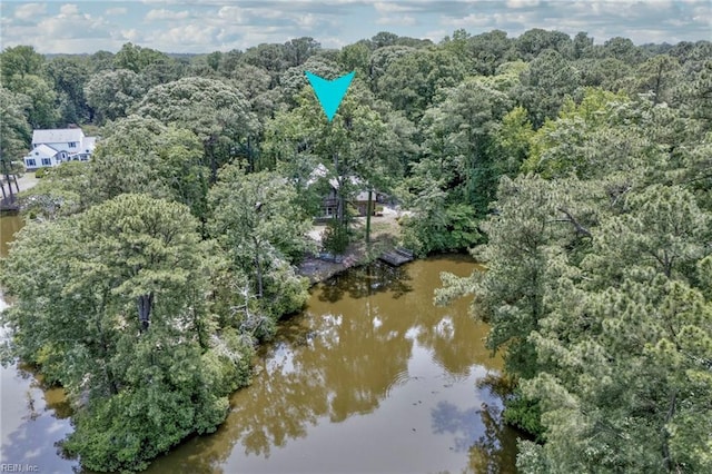 9 Hill Way, Carrollton, VA 23314 - view of property location featuring a large body of water and a heavily wooded area