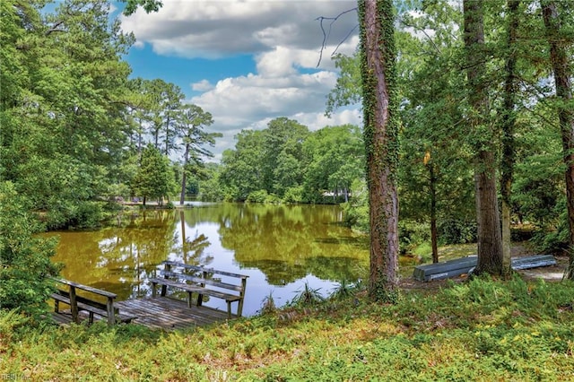 9 Hill Way, Carrollton, VA 23314 - dock with a water view