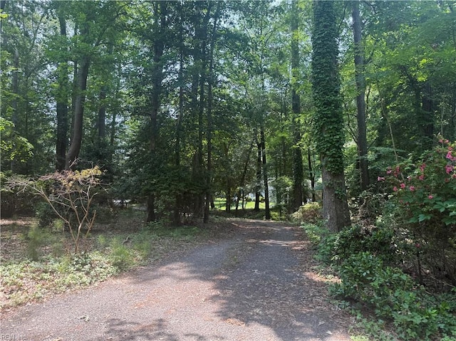 9 Hill Way, Carrollton, VA 23314 - view of road featuring a view of trees
