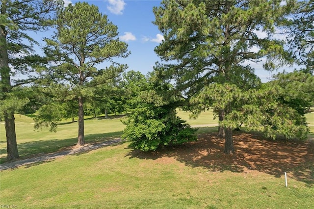 113 Pelhams Ordinary, Williamsburg, VA 23185 - view of green lawn featuring view of wooded area