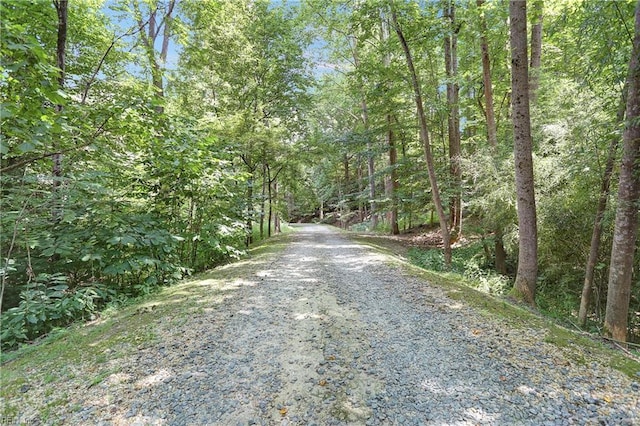 113 Pelhams Ordinary, Williamsburg, VA 23185 - view of dirt / gravel road with a forest view