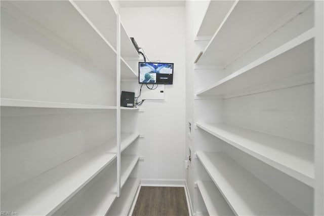 460 Blue Beech Way Unit 963, Chesapeake, VA 23320 - view of pantry