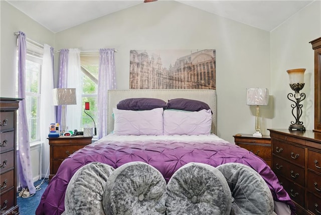 127 Rockland Ter, Suffolk, VA 23434 - carpeted bedroom with lofted ceiling