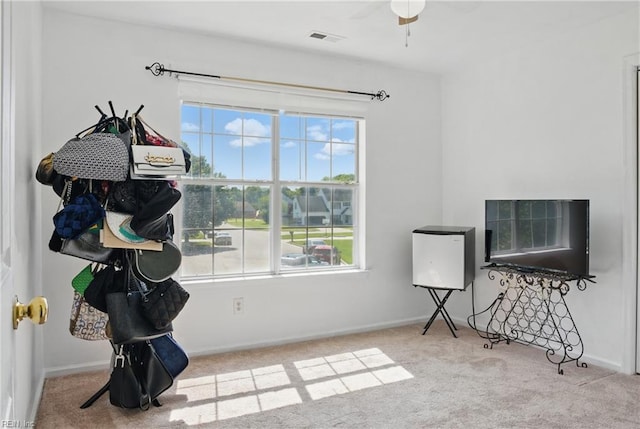 127 Rockland Ter, Suffolk, VA 23434 - living area with carpet flooring, ceiling fan, and baseboards