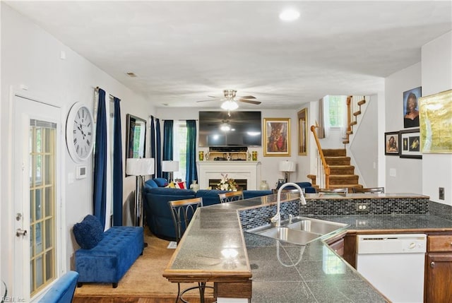 127 Rockland Ter, Suffolk, VA 23434 - kitchen with white dishwasher, a sink, plenty of natural light, and a fireplace