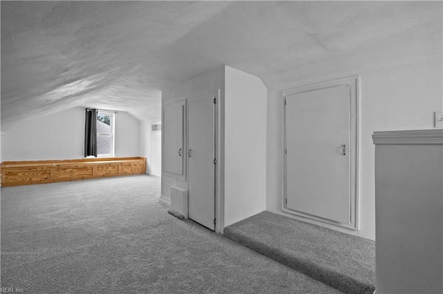 811 Wingfield Ave, Chesapeake, VA 23325 - bonus room featuring carpet, vaulted ceiling, and a textured ceiling