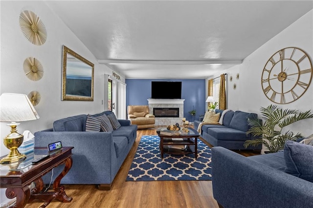 1208 Santeetlah Ave, Chesapeake, VA 23325 - living area featuring wood finished floors, plenty of natural light, and a glass covered fireplace