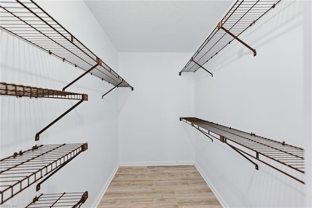 321 Bantry Cross Cross, Virginia Beach, VA 23452 - spacious closet with light wood-style floors