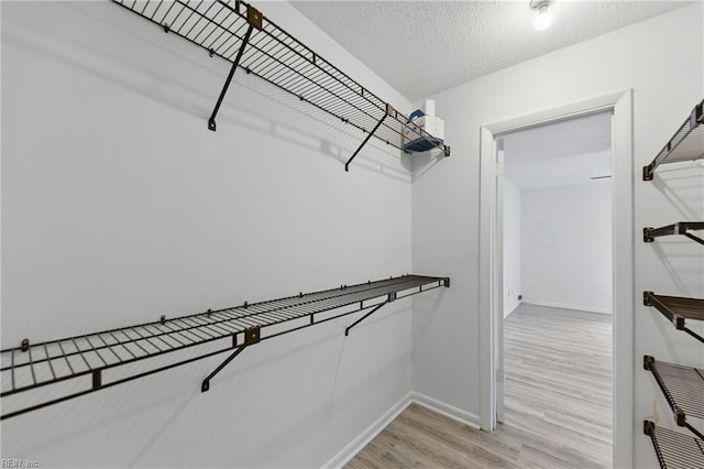 321 Bantry Cross Cross, Virginia Beach, VA 23452 - walk in closet with light wood-style flooring
