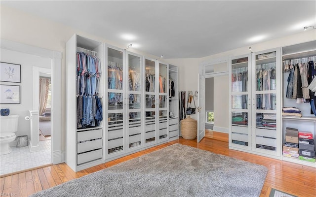 5312 Studeley Ave, Norfolk, VA 23508 - walk in closet with hardwood / wood-style floors