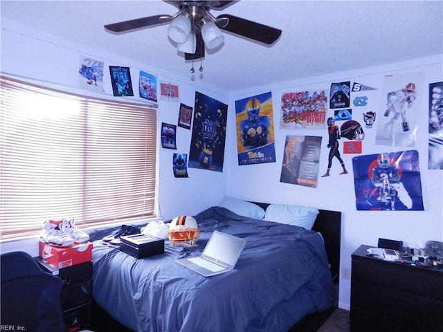 4193 Thistle Cir, Virginia Beach, VA 23462 - bedroom with ceiling fan