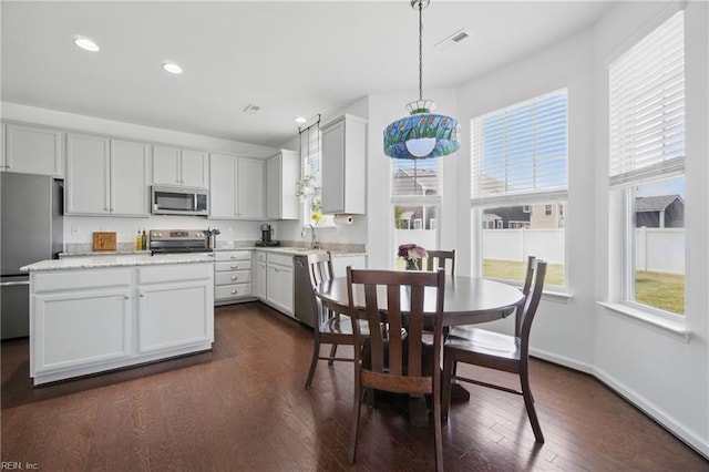637 Wood Nymph Ln, Chesapeake, VA 23323 - kitchen featuring appliances with stainless steel finishes, healthy amount of natural light, recessed lighting, dark wood finished floors, and hanging light fixtures