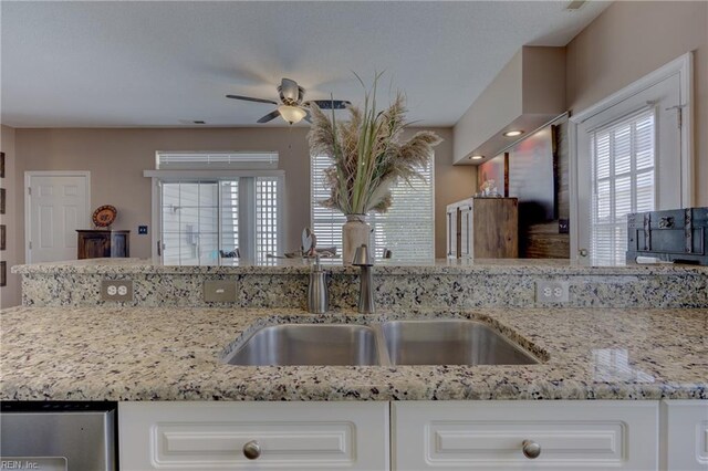 1808 Kensal Green Dr, Virginia Beach, VA 23456 - kitchen featuring a sink, healthy amount of natural light, ceiling fan, and stainless steel dishwasher
