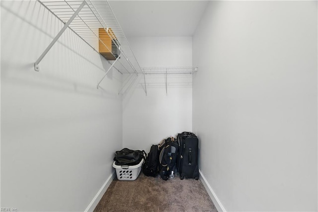 315 N Second St, Hampton, VA 23664 - spacious closet with carpet flooring