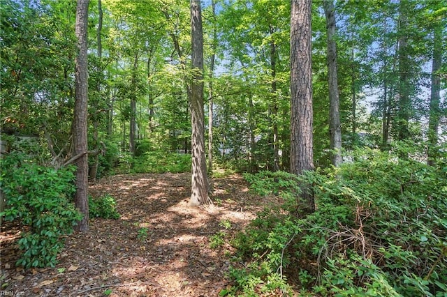 6772 Burbage Lake Cir, Suffolk, VA 23435 - view of nature