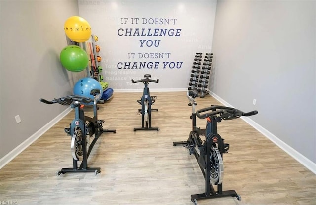 1010 Kings Land Ct, Williamsburg, VA 23185 - workout area featuring wood finished floors