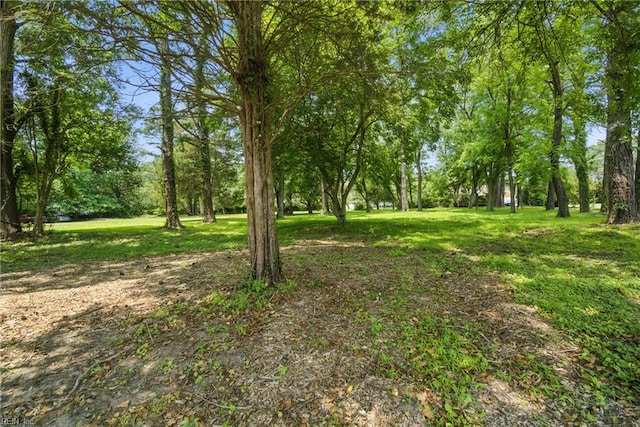 3555 Heutte Dr, Norfolk, VA 23518 - view of grassy yard
