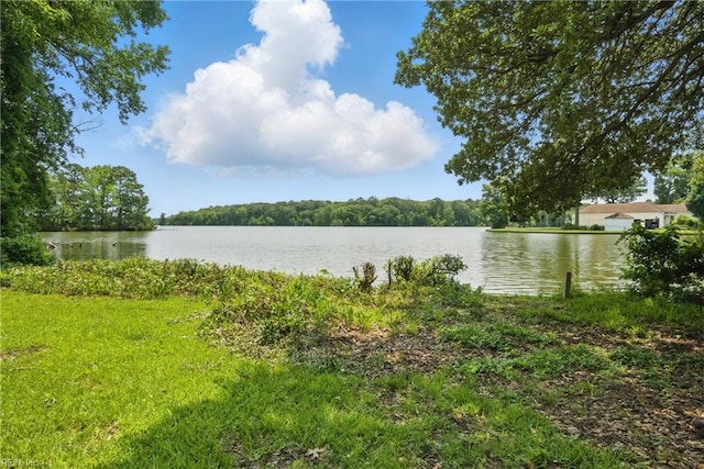 3555 Heutte Dr, Norfolk, VA 23518 - water view featuring a forest