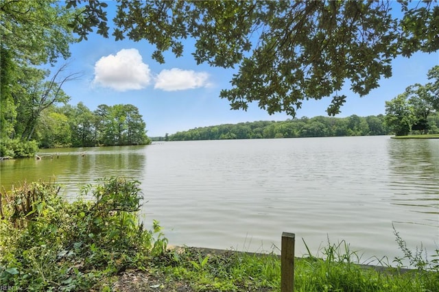 3555 Heutte Dr, Norfolk, VA 23518 - water view with a forest