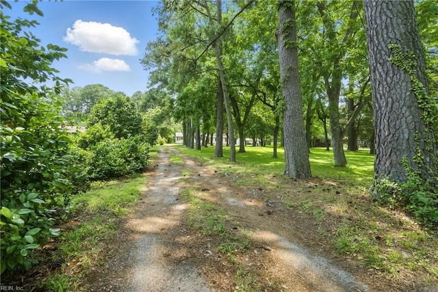 3555 Heutte Dr, Norfolk, VA 23518 - view of dirt / gravel driveway