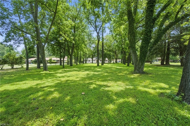 3555 Heutte Dr, Norfolk, VA 23518 - view of grassy yard
