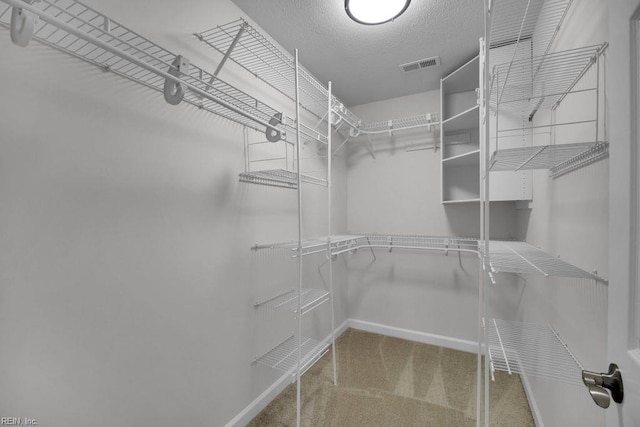 105 Londonderry Ln, Williamsburg, VA 23188 - spacious closet with carpet flooring