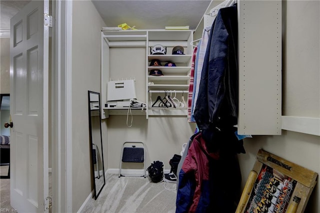 405 Bartell Dr, Chesapeake, VA 23322 - walk in closet featuring carpet floors