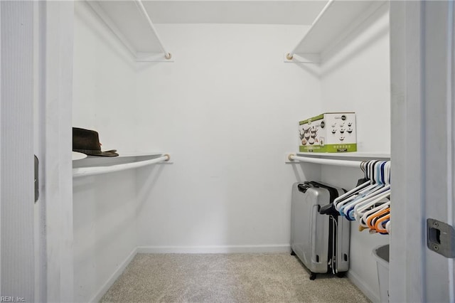 2613 Cedar Rd, Chesapeake, VA 23323 - spacious closet featuring carpet flooring