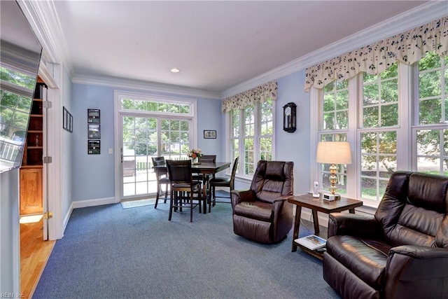 200 Cruden Bay, Williamsburg, VA 23188 - living room with crown molding, baseboards, and carpet floors