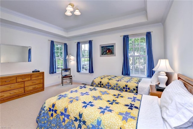 200 Cruden Bay, Williamsburg, VA 23188 - bedroom with multiple windows, a raised ceiling, crown molding, carpet floors, and baseboards