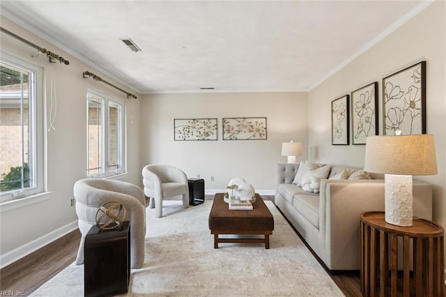 2438 Blue Castle Ct, Virginia Beach, VA 23454 - living area featuring wood finished floors, crown molding, and baseboards
