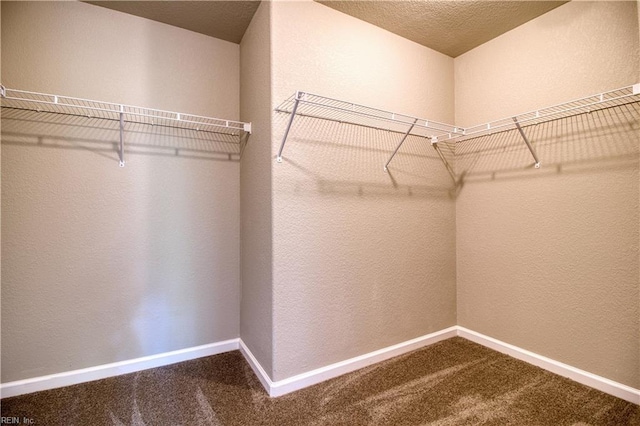 1808 Princeton Ave, Norfolk, VA 23523 - walk in closet featuring dark colored carpet