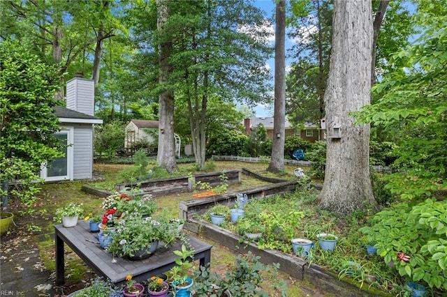 6372 Colby Way, Virginia Beach, VA 23464 - view of yard featuring a garden