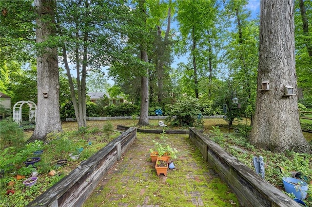 6372 Colby Way, Virginia Beach, VA 23464 - view of yard