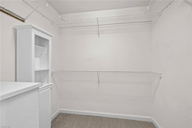 208 56th St Unit B, Virginia Beach, VA 23451 - walk in closet featuring light colored carpet