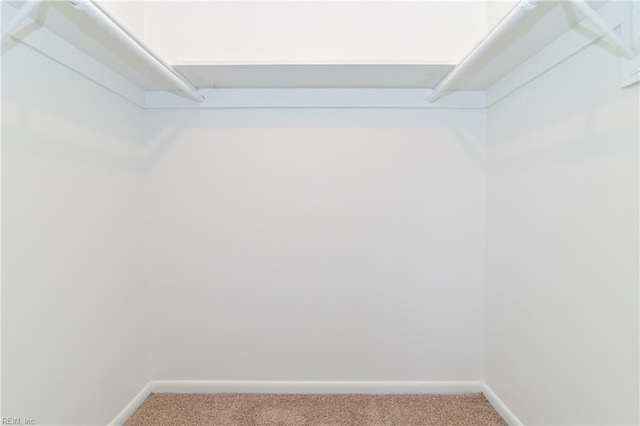 785 Biltmore Dr, Virginia Beach, VA 23454 - spacious closet with light carpet