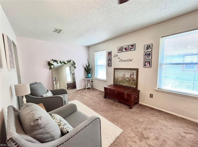 1417 Northface Ct, Virginia Beach, VA 23462 - living area featuring plenty of natural light, light carpet, a textured ceiling, and baseboards