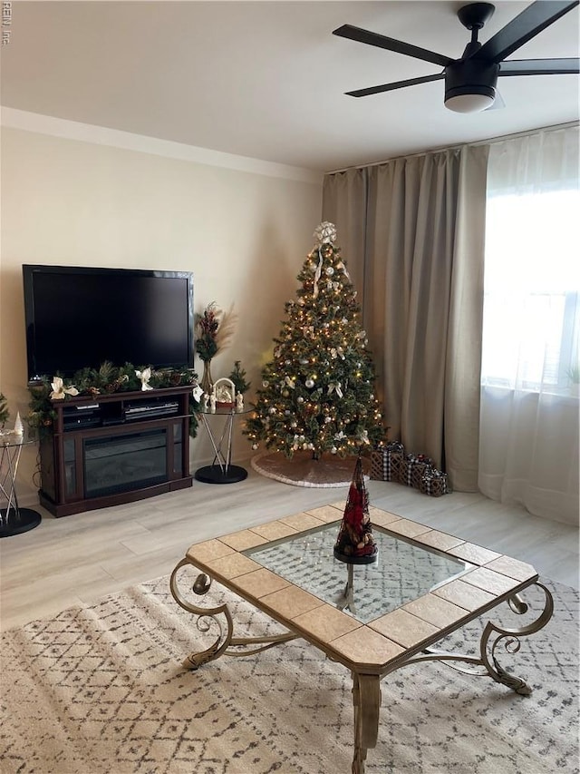 5201 Nuthall Dr Unit 204, Virginia Beach, VA 23455 - living room with a ceiling fan, wood finished floors, a glass covered fireplace, and ornamental molding