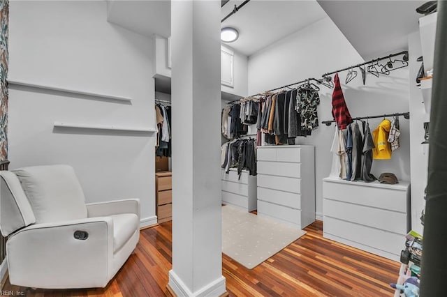 111 W Tazewell St Unit 200, Norfolk, VA 23510 - spacious closet featuring wood finished floors