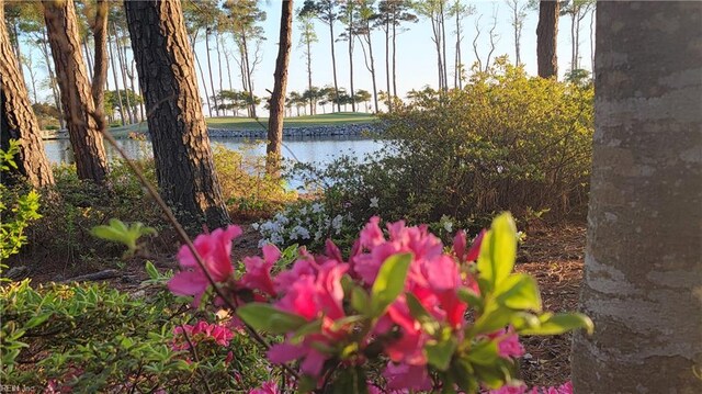 143 Heron Pointe Dr, Cape Charles, VA 23310