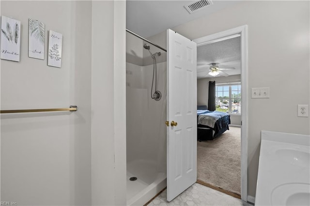 1244 Bell Tower Arch, Chesapeake, VA 23324 - ensuite bathroom featuring ceiling fan, a stall shower, and double vanity