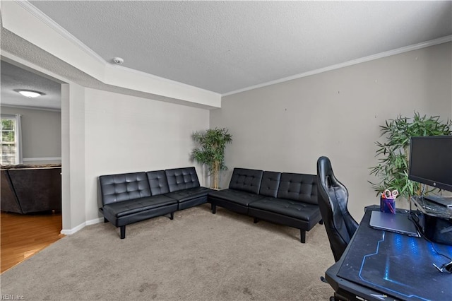 1244 Bell Tower Arch, Chesapeake, VA 23324 - carpeted living room with crown molding, a textured ceiling, and baseboards