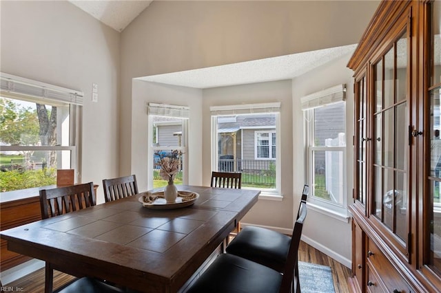 2389 Kerr Dr, Virginia Beach, VA 23454 - dining area with wood finished floors, vaulted ceiling, and baseboards